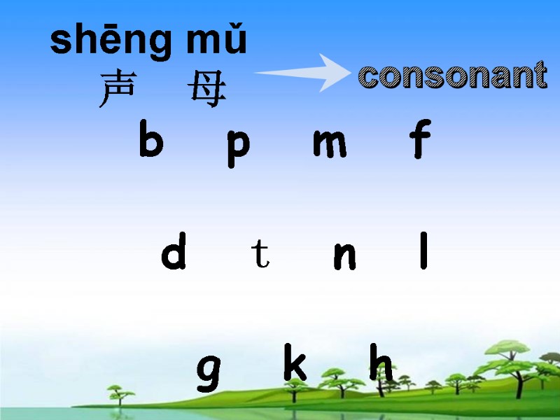 shēnɡ mǔ       声    母 